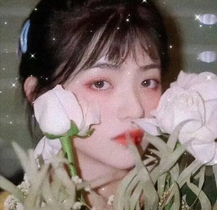多梦女孩